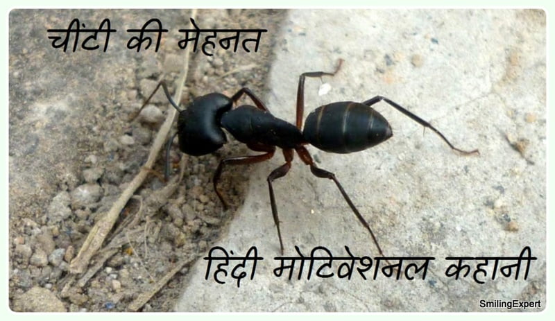 story of ant- motivational story