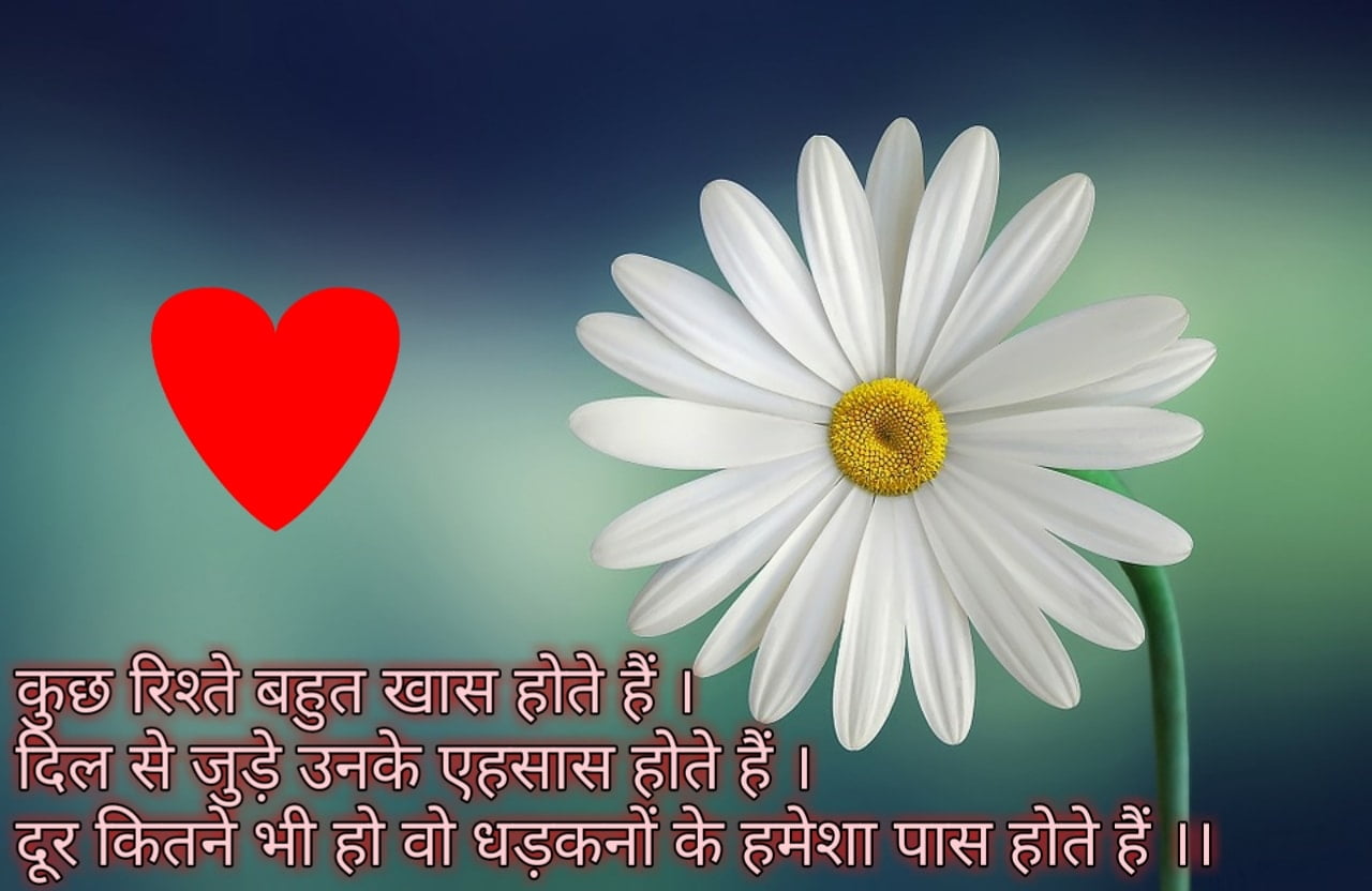 love_quotes_in_hindi