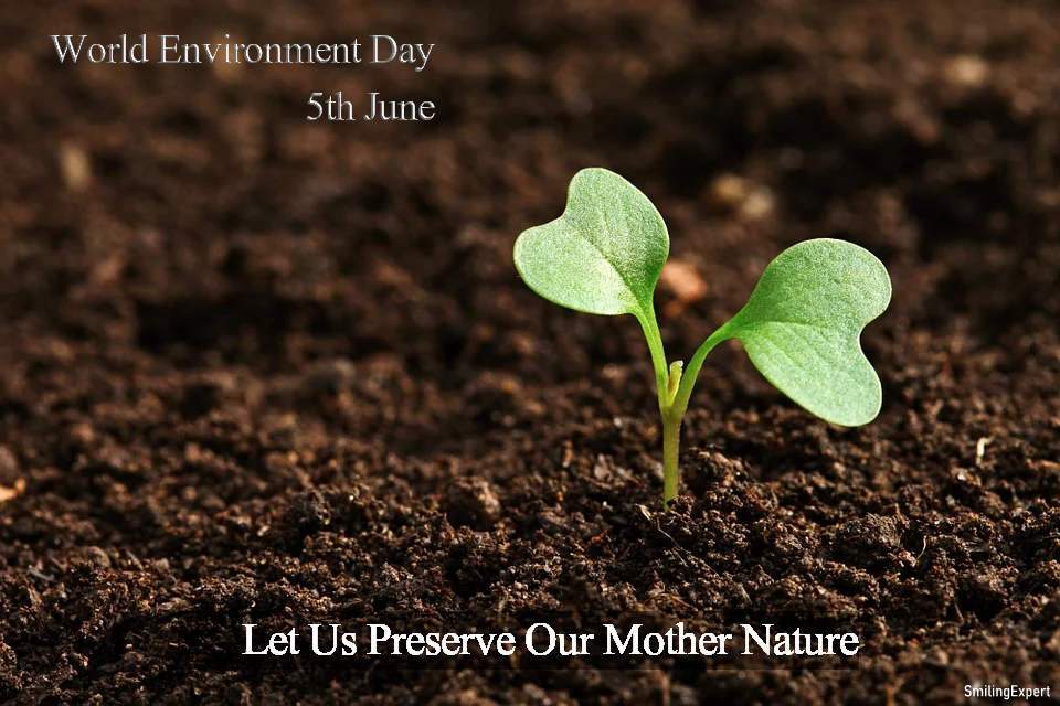 World-Environment-Day_Thoughts