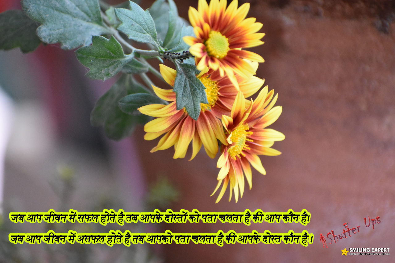 golden line image in hindi