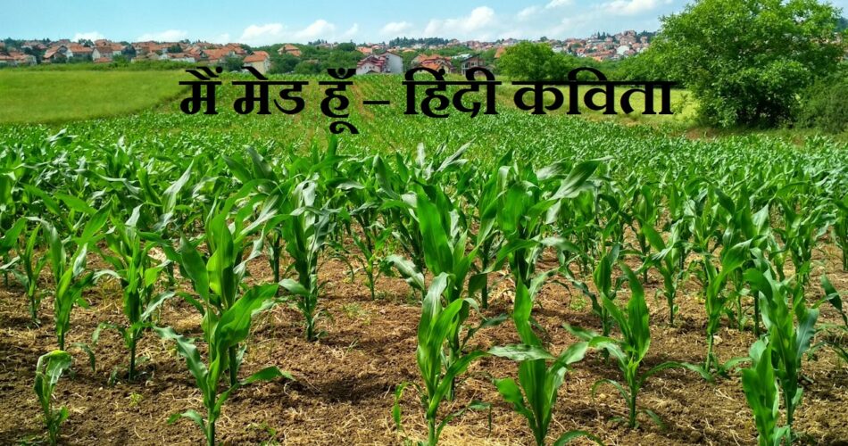 मैं मेड हूँ - हिंदी कविता