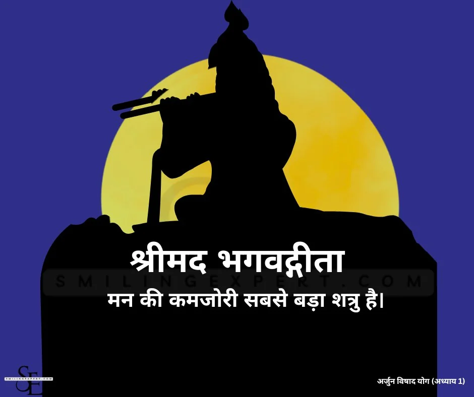 Best Bhagavad Gita Quotes In Hindi