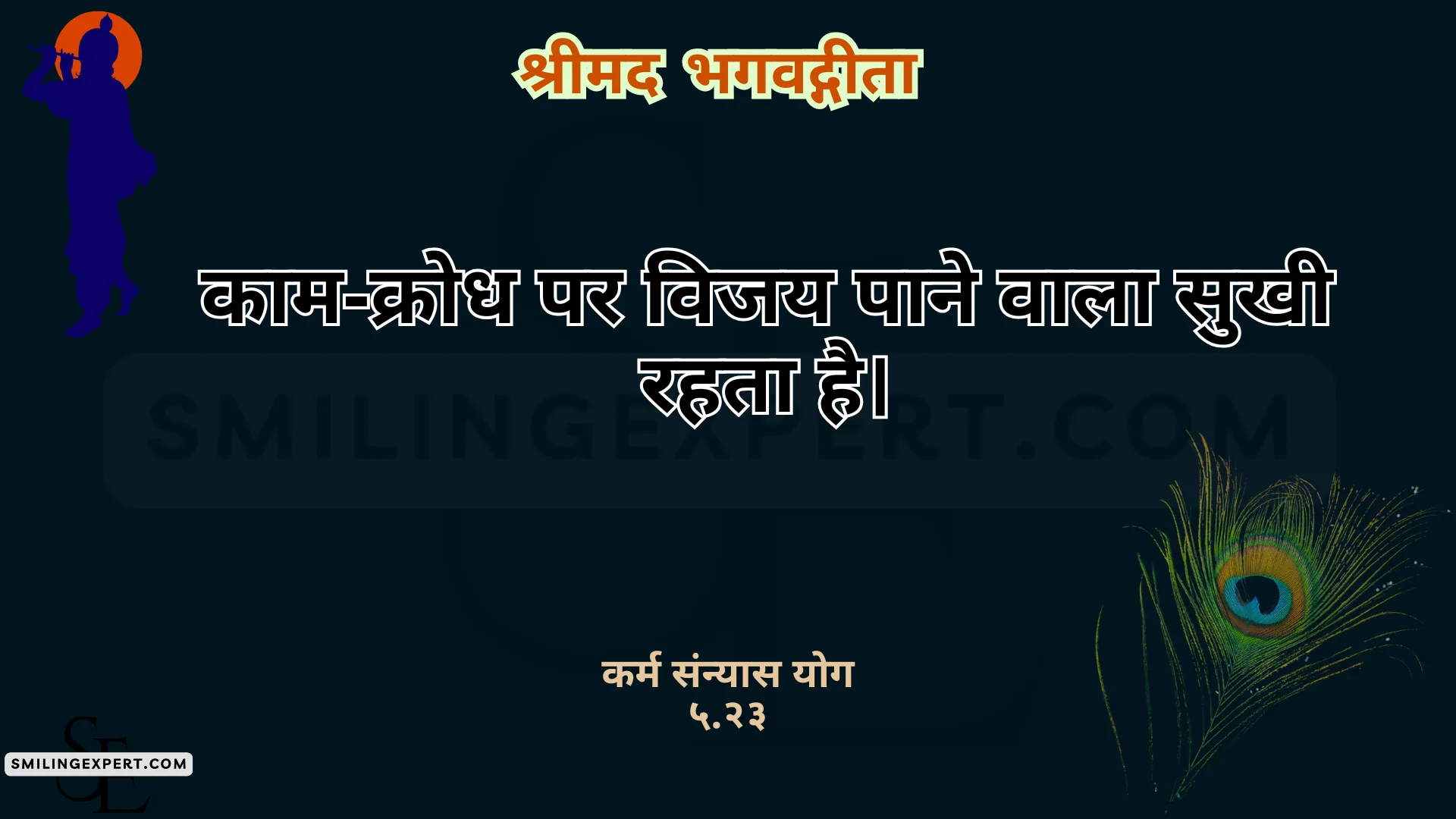 Bhagavad gita quotes with chapters hindi