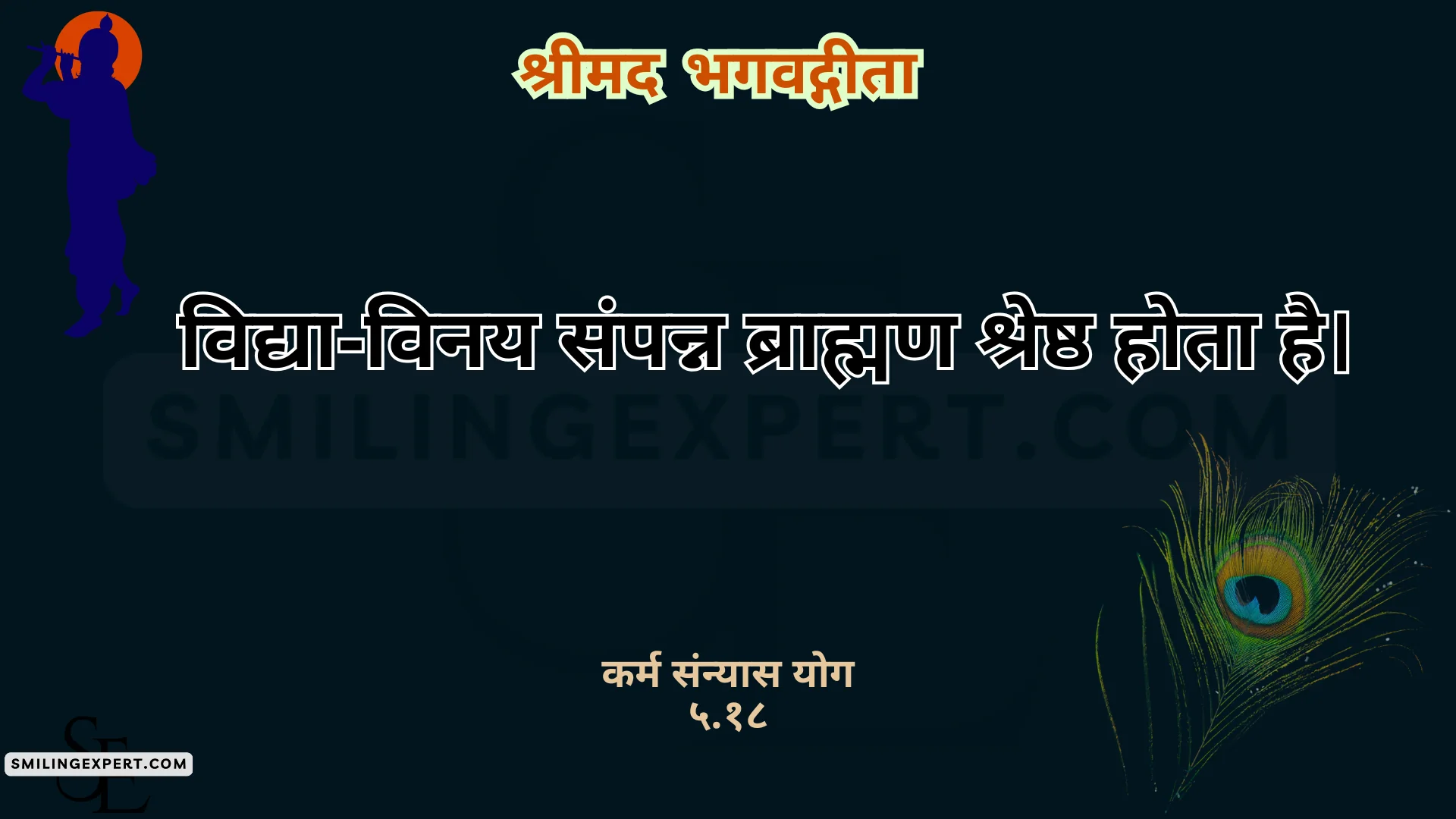Bhagwat Geeta Learnings Chapter Wise Hindi