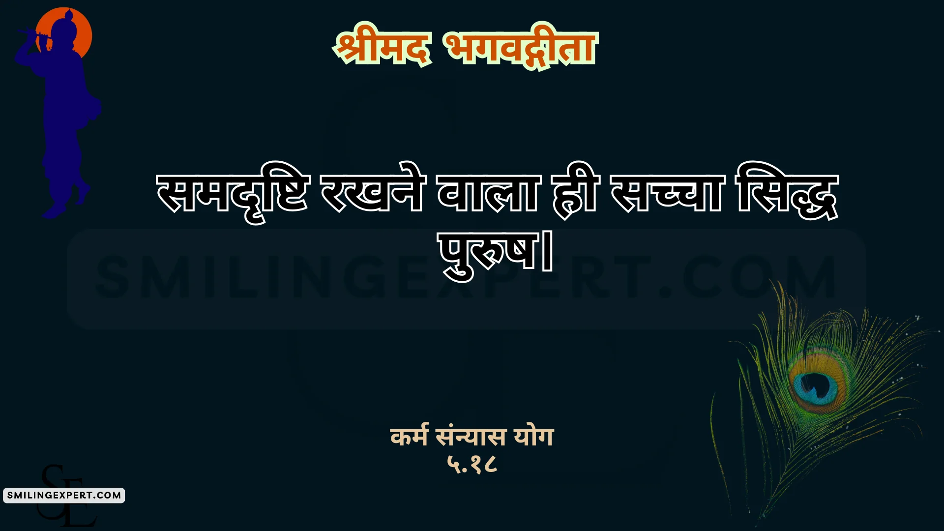 भागवत गीता अध्याय 5 ज्ञान कर्म संन्यास योग